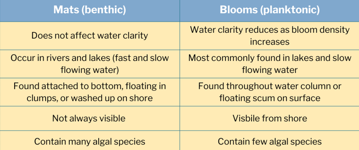 A table comparing algal mats and algal blooms.